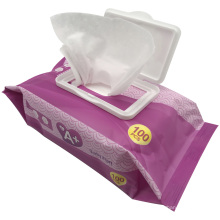 China Manufacturer Best Selling Custom Packaging Aloe Scent Disposable Wet Tissue Paper Wet Towel